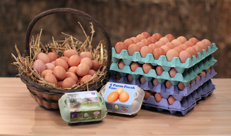 Local fresh eggs